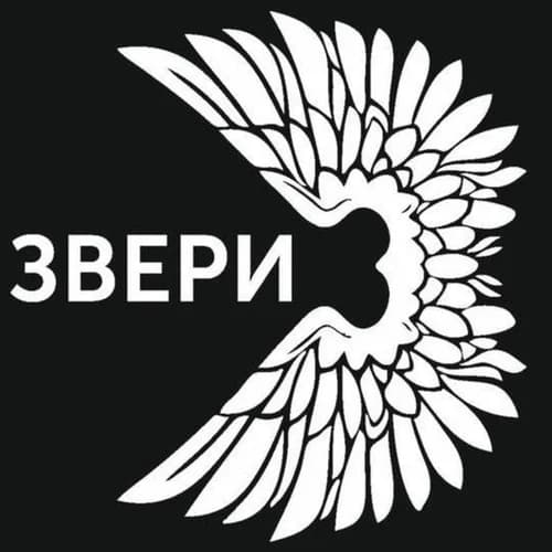 Группа Дима