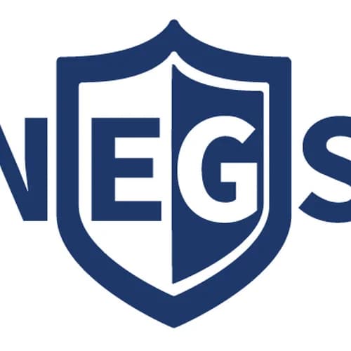 NE Global Services Inc.