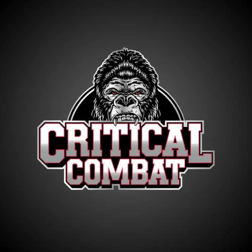 Critical Sports and Entertainment INC