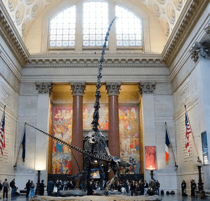American Museum of Natural History