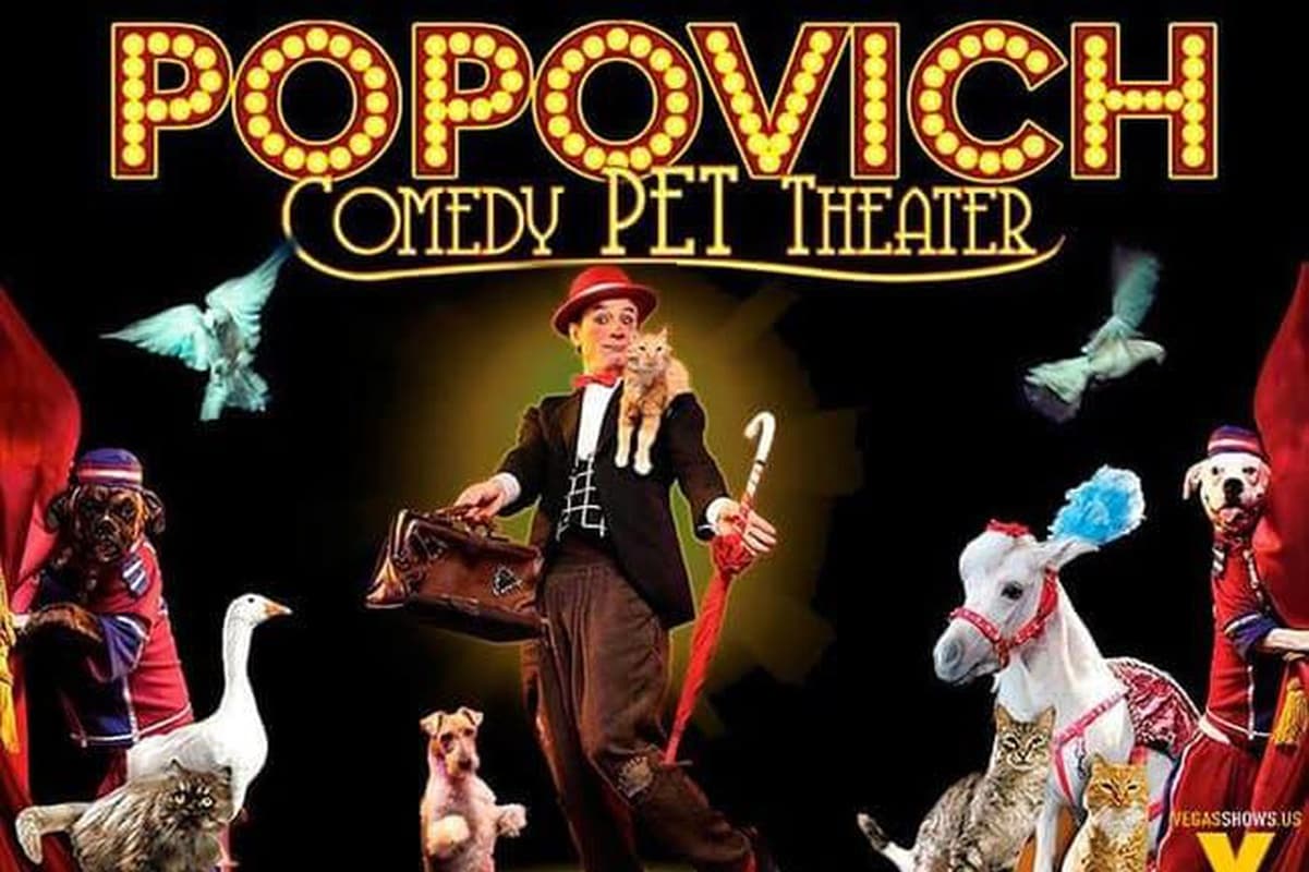 POPOVICH COMEDY PET THEATER