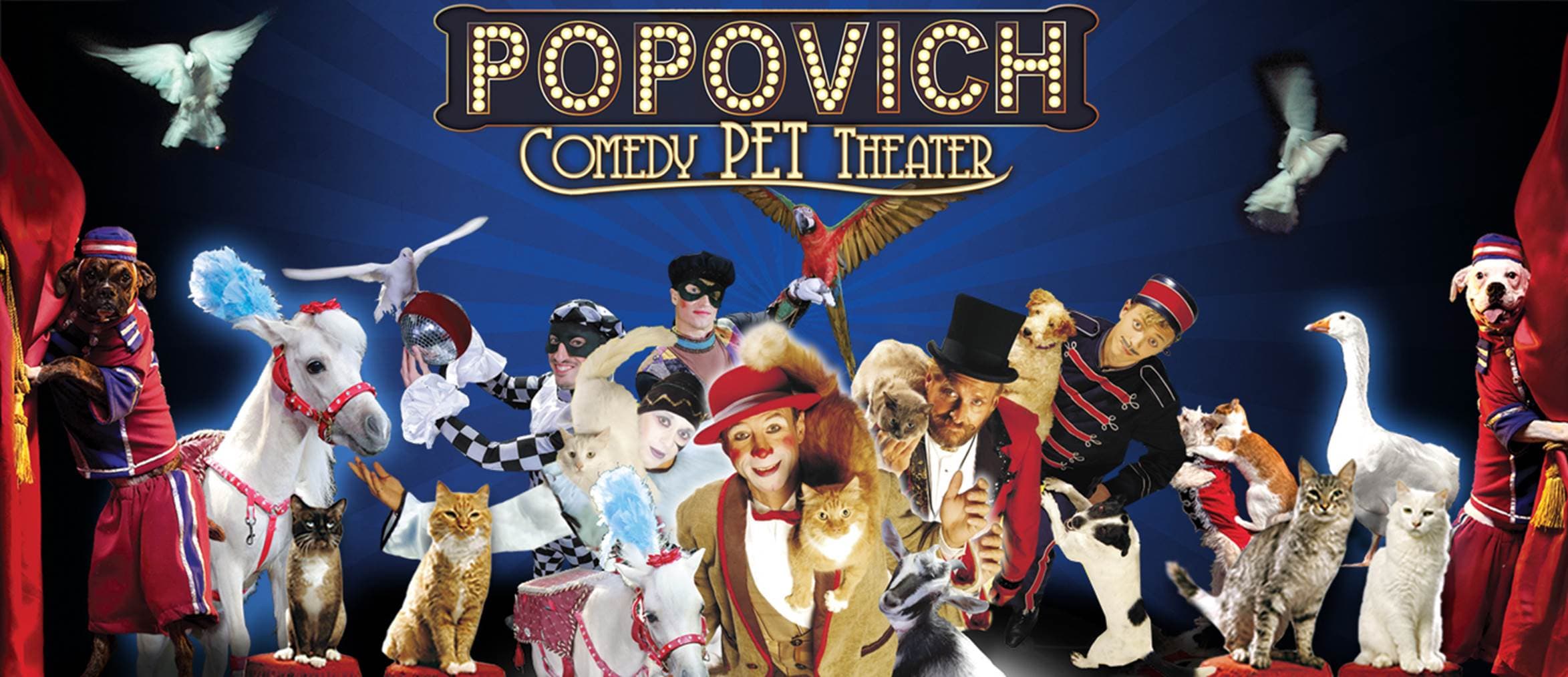 POPOVICH Comedy Pet Theater Tour