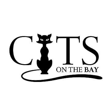 Cats On The Bay